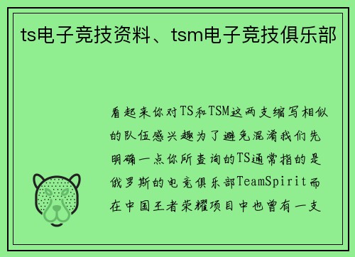 ts电子竞技资料、tsm电子竞技俱乐部